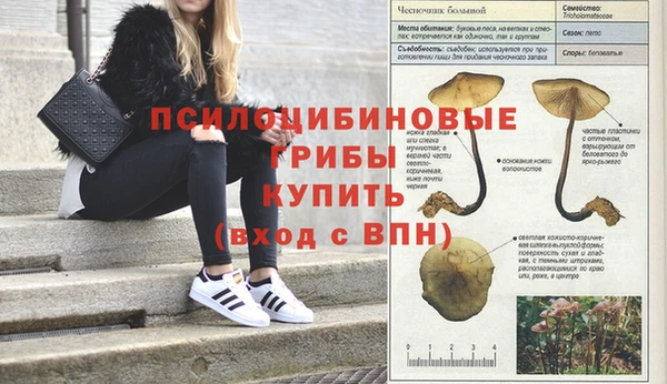 первитин Зеленодольск
