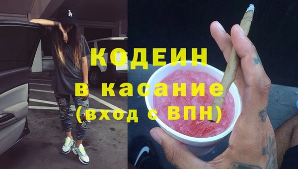 дживик Заводоуковск